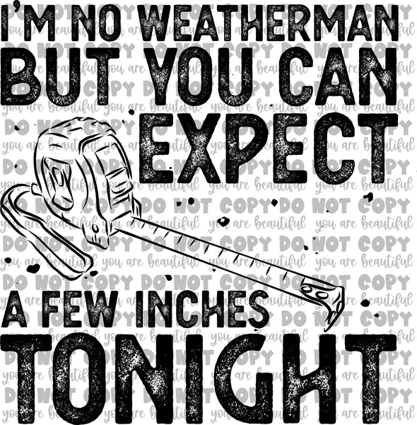 I’m No Weatherman But You Can Expect a Few Inches Tonight - Single Color **DIGI PRINT/DTF/CLEAR FILM** TRANSFERS (NO MOQ)