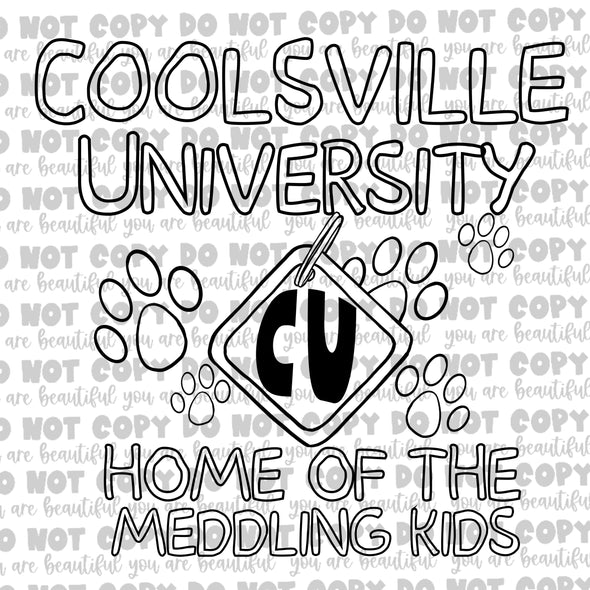 Coolsville University, Home Of The Meddling Kids **DIGI PRINT/DTF/CLEAR FILM** TRANSFERS (NO MOQ)